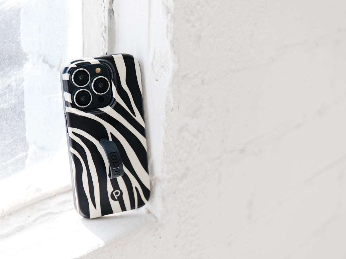 Zebra - Image 6